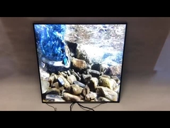 Бренд первоначальное BOE 33 квадрат панели 420Nits 1920*1920 LCD квадрата дюйма рекламируя дисплей